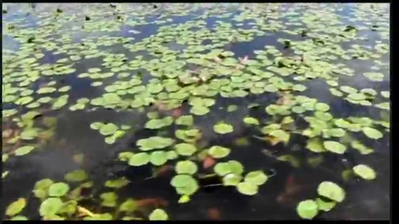 Tan tri Ahura Teachings (2013) 5_4 Chismatic 2 Technique 4 opening