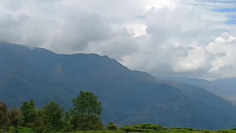 A beautiful view of the village #tea farming