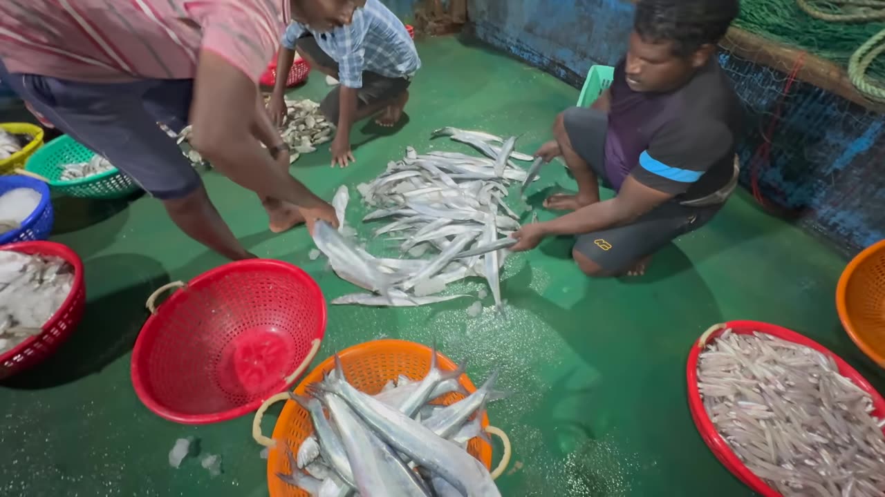 Tiefseeabenteuer Angeln in Singapur