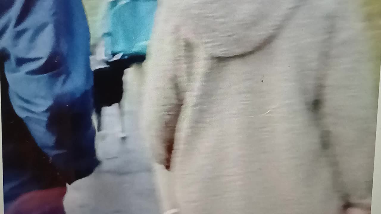 Gang abusing everyone & thing they possibly can on a dog walk on the dead