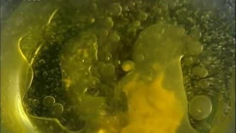 Rick Stein's Seafood Lovers Guide Episode 03