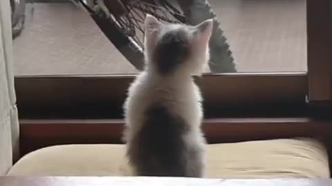 the first day i recognized what i looked like.. 😺🥹