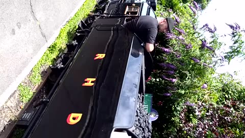 All aboard