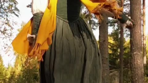 A peaceful moment in the forest
