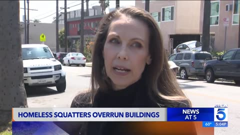 Hollywood neighborhood taken over by squatters and crime, neighbors fed up
