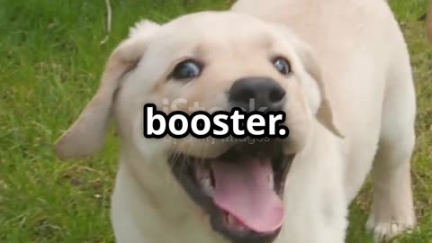 Warning: This video contains extreme levels of cuteness. Viewer discretion is advised. 😍