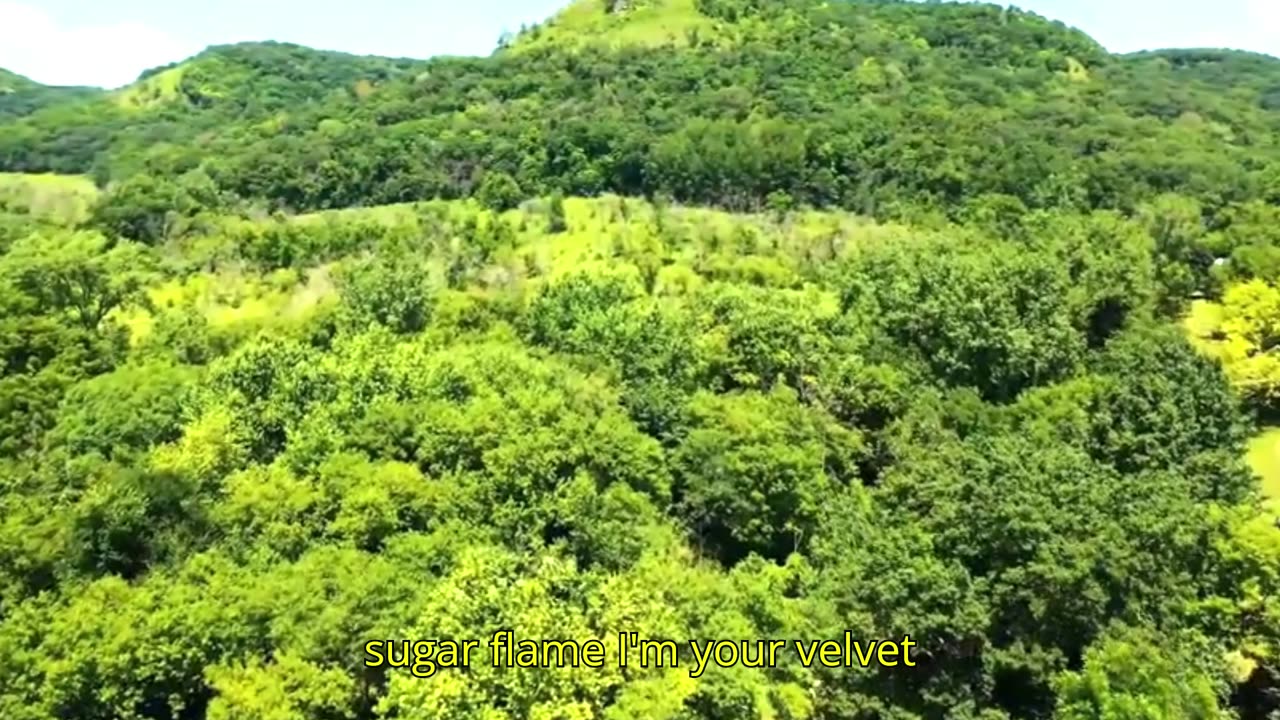 Lady Gaga ft. Perfect Celebrity