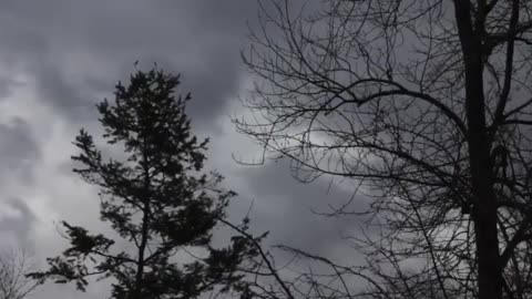 Dark and Horror stock footage no copyright video Free copyright stock footage