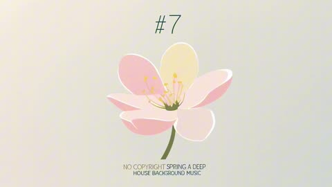 (Instrumental) [No Copyright Spring Deep House Background music] #7
