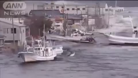 The 2011 earthquake and subsequent tsunami in Japan