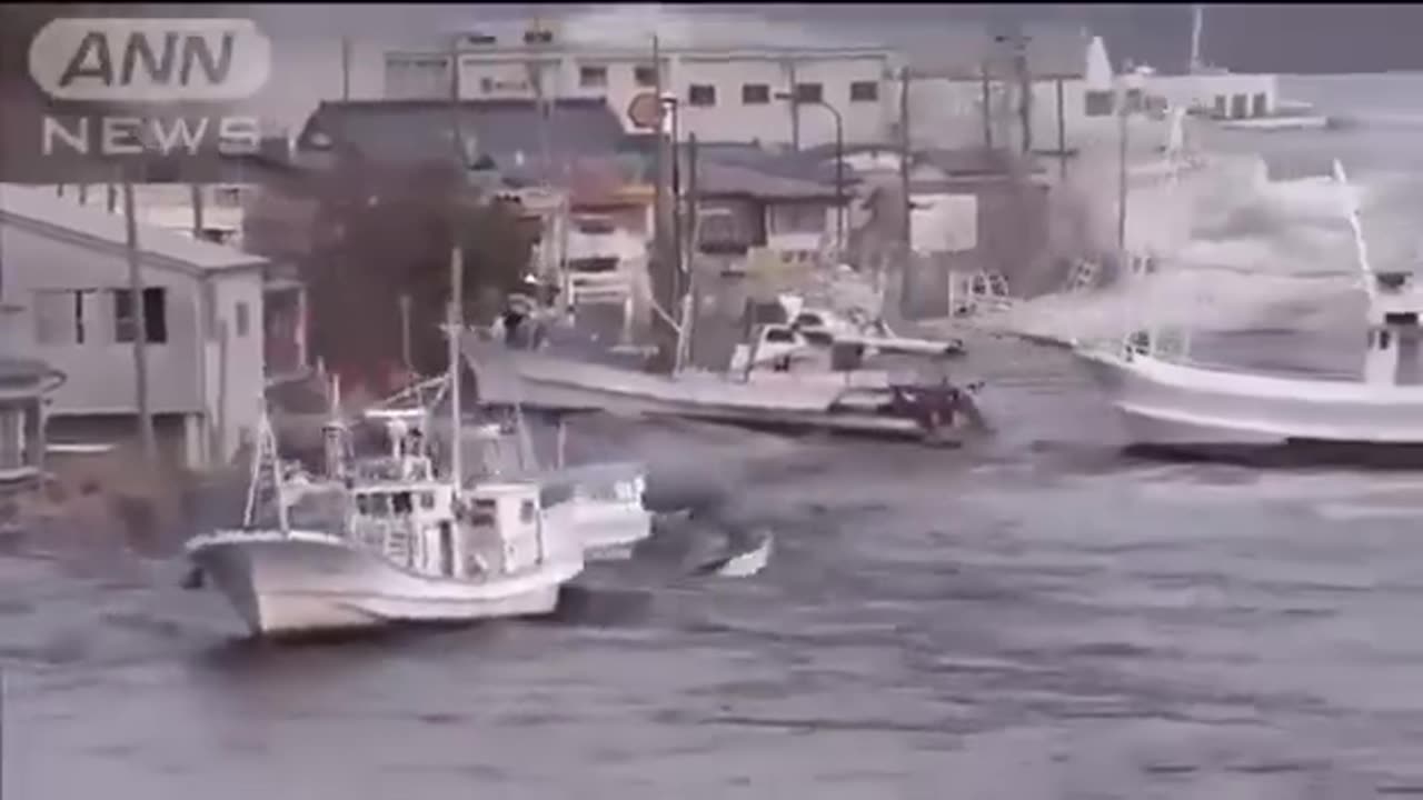 The 2011 earthquake and subsequent tsunami in Japan