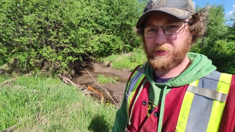 June 2-6, 2025 - Active beavers