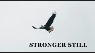Pray USA, 5/6/25 Stronger Still