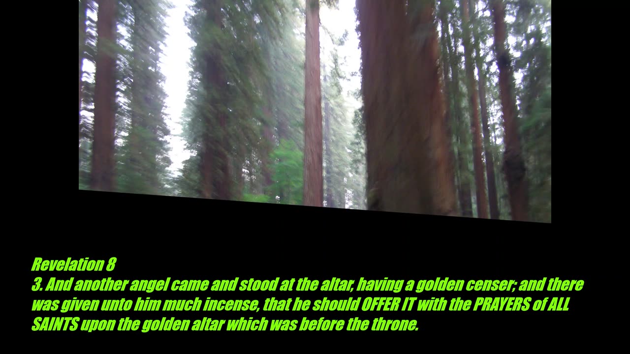 Revelation 8