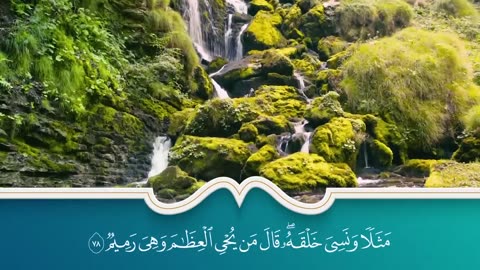 سور الرزق والبركة سورة يس - الرحمن - الواقعة - الملك بصوت الشيخ سعد الغامدي (1)