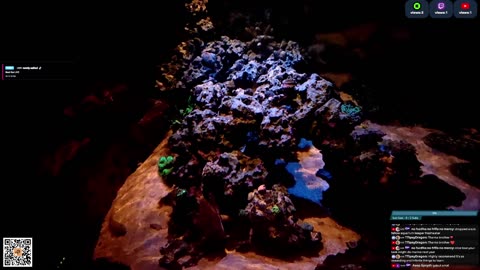 24/7 Real Live Reef Stream