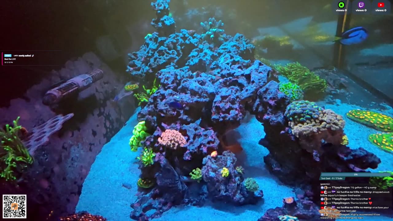 24/7 Real Live Reef Stream