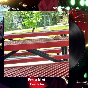 I'm a bird (Snippet)