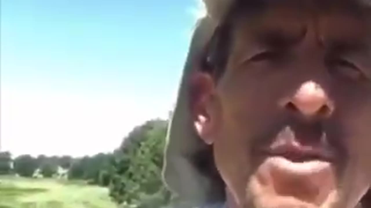 Apple seeds & apricot seeds can cure you of cancer.