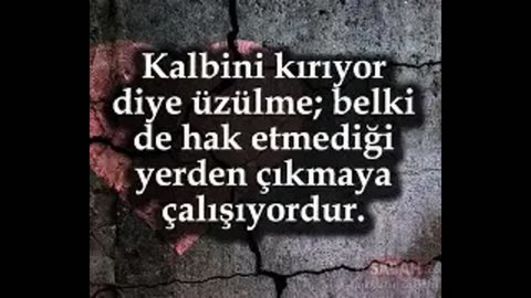 Soysuzlar