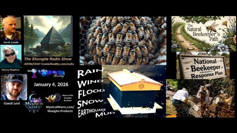 SHUNGITE REALITY 12/04/25 - with Levi Update on Shungite Beehives