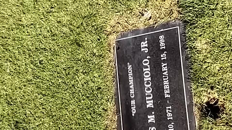 FAMOUS GRAVES - VOL. VOL. 597: LOUIE SPICOLLI