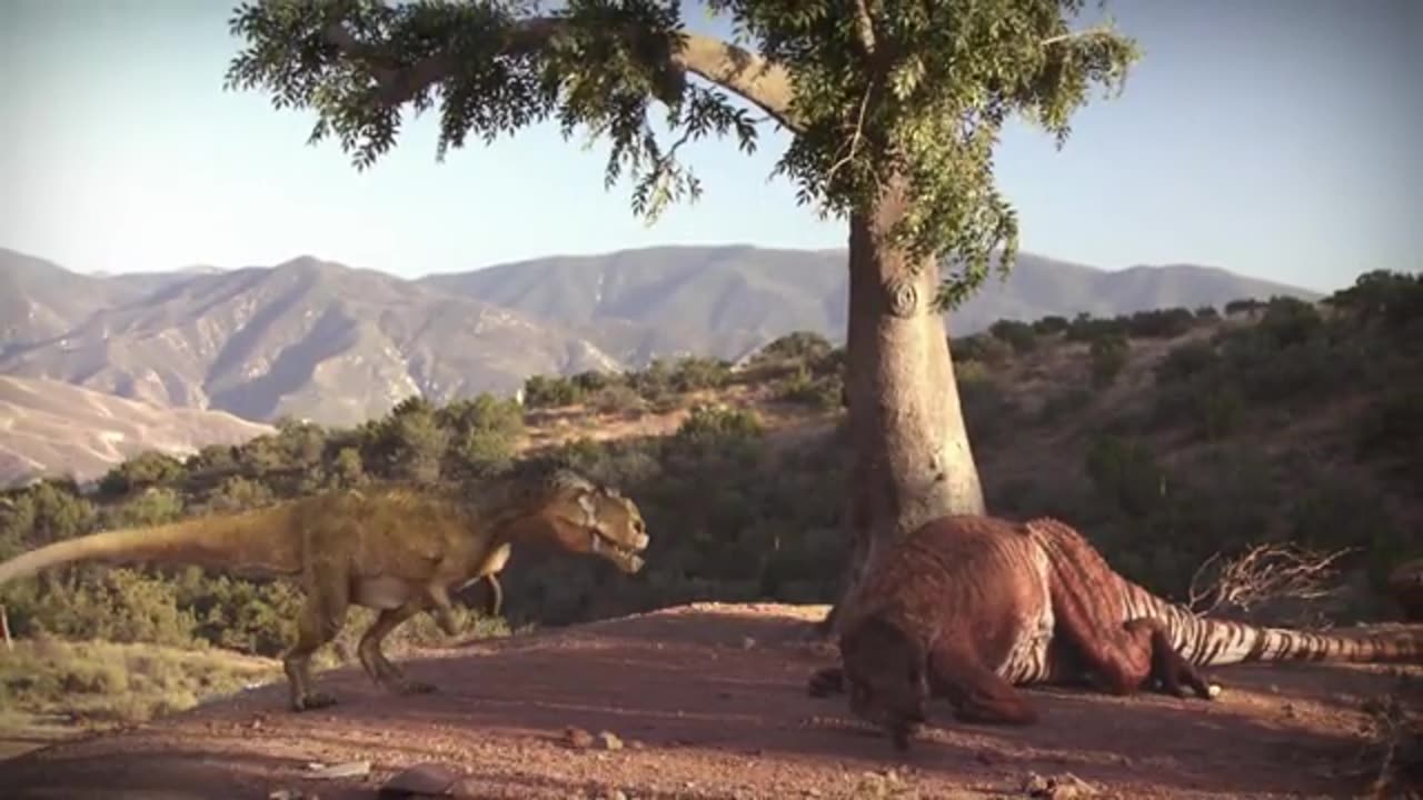 "Welcome to Animals' ULTIMATE Jungle Life Adventure! 🦅🦁🐶🐯 | Wild Encounters & Surprising Moments!"