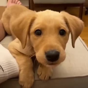 😂#Newfunnyvideo2025 #Viralfunnyvideos #trending videos #comedytime #bestreaction😂😂😂