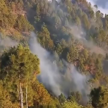 #BreakingNews! #Update, #July25, 2025 Thai military launches attack on Cambodian military.