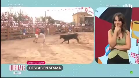 This happened to a reporter on live TV