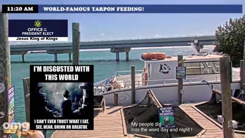 You can take my x-fake-book but you wont stop the wrath of God morons ! Elon free me your site is a joke !