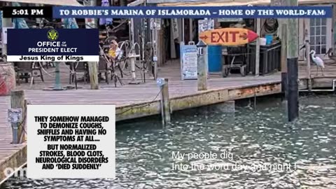 You can take my x-fake-book but you wont stop the wrath of God morons ! Elon free me your site is a joke !