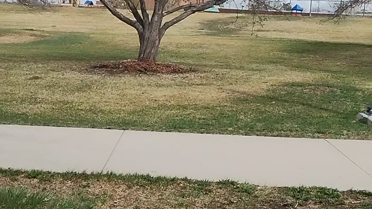 Rosamond Park
