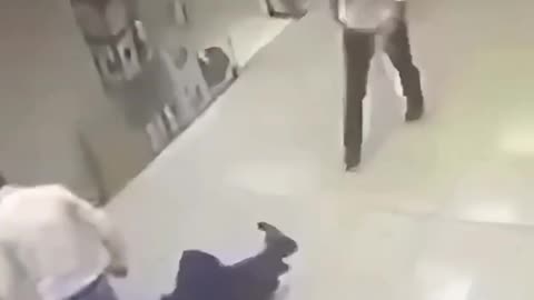 Knuckle Sandwich Compilation