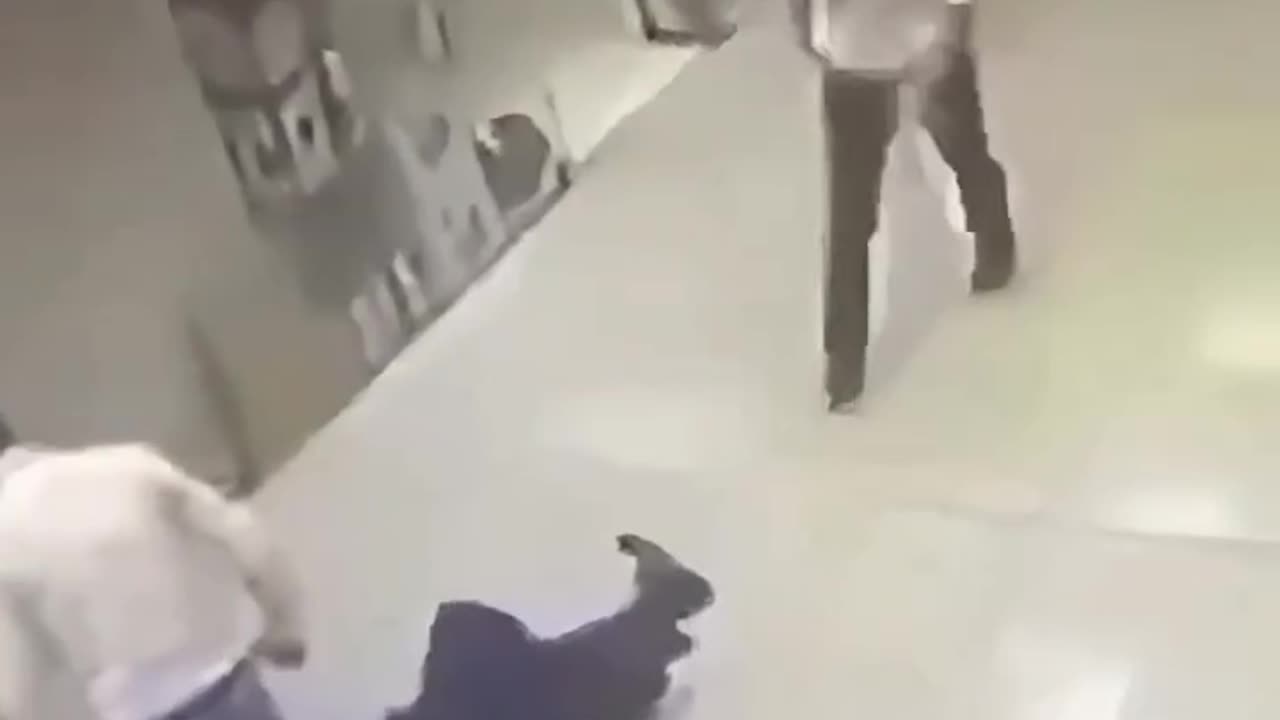 Knuckle Sandwich Compilation