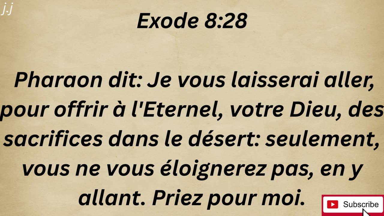 « Les plaies des grenouilles, des moustiques et des mouches » exode 8:1-32 #shorts #youtube #ytshort