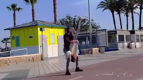 Tjese guys are taking cartwheels to a new level