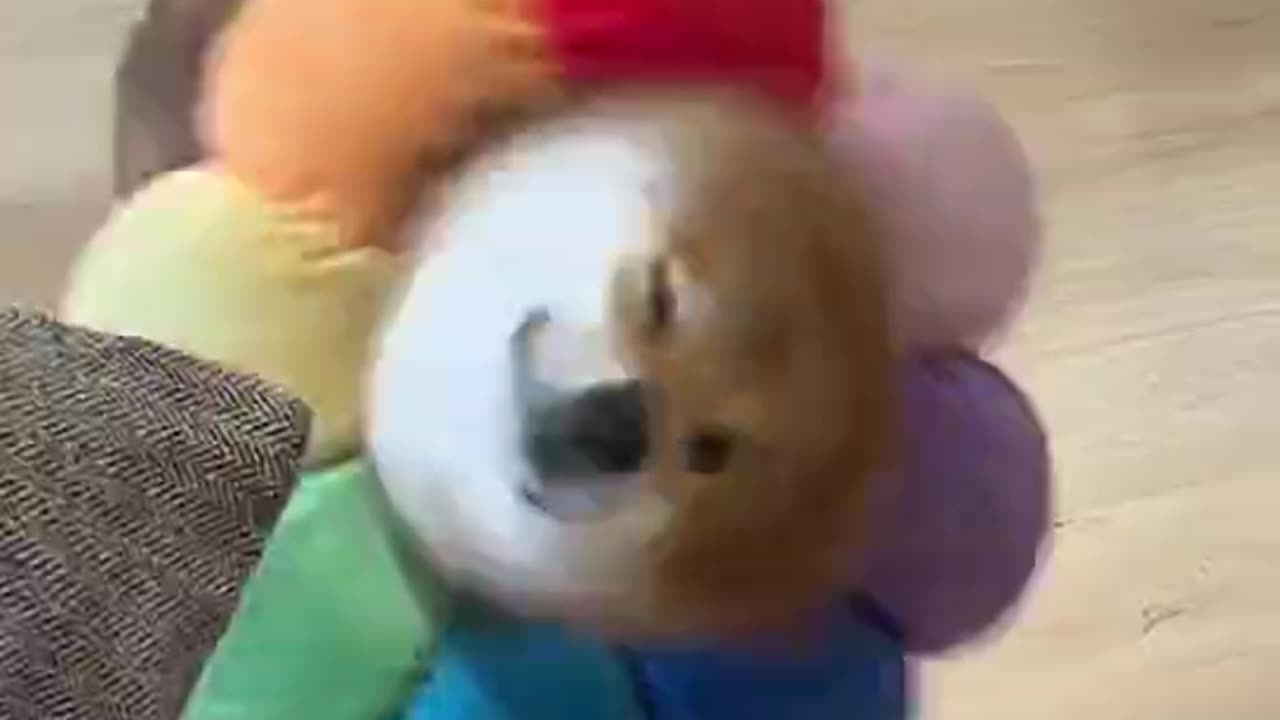 The dog shook its head until blurry
