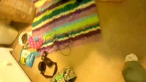 A little video of our old baby gates, and my room while taking the tiger salamander inside