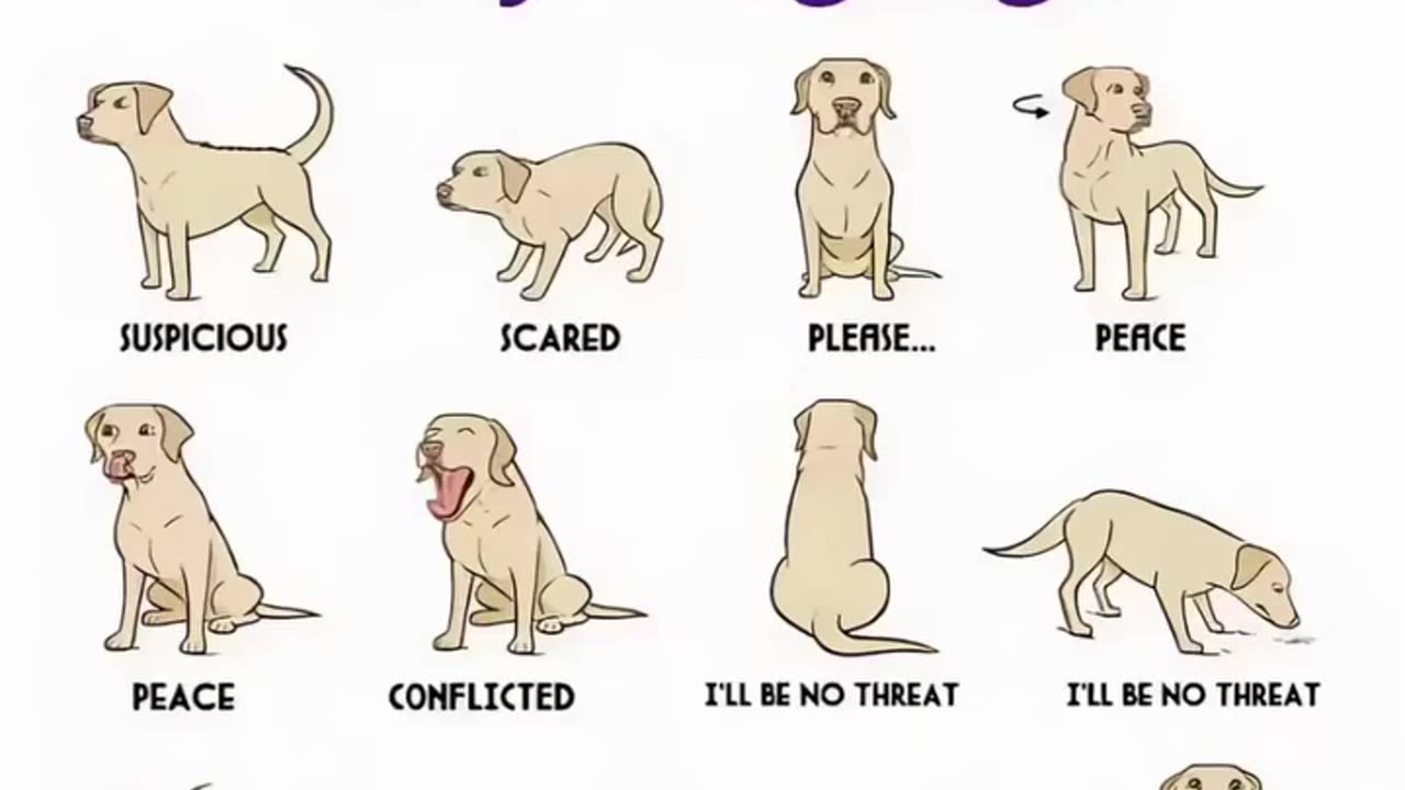😂🐛 Prepare for the Ultimate Arrival! | FunFM