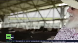 RT DE LIVE-TV