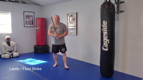 CH LLC FMA Stick Striking Types