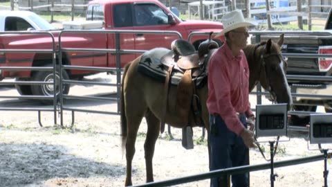 Skipper Calder & Cowboy-up Ministry bring horse training with a message at 11am.