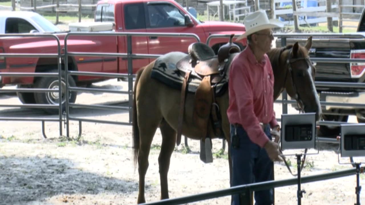 Skipper Calder & Cowboy-up Ministry bring horse training with a message at 11am.