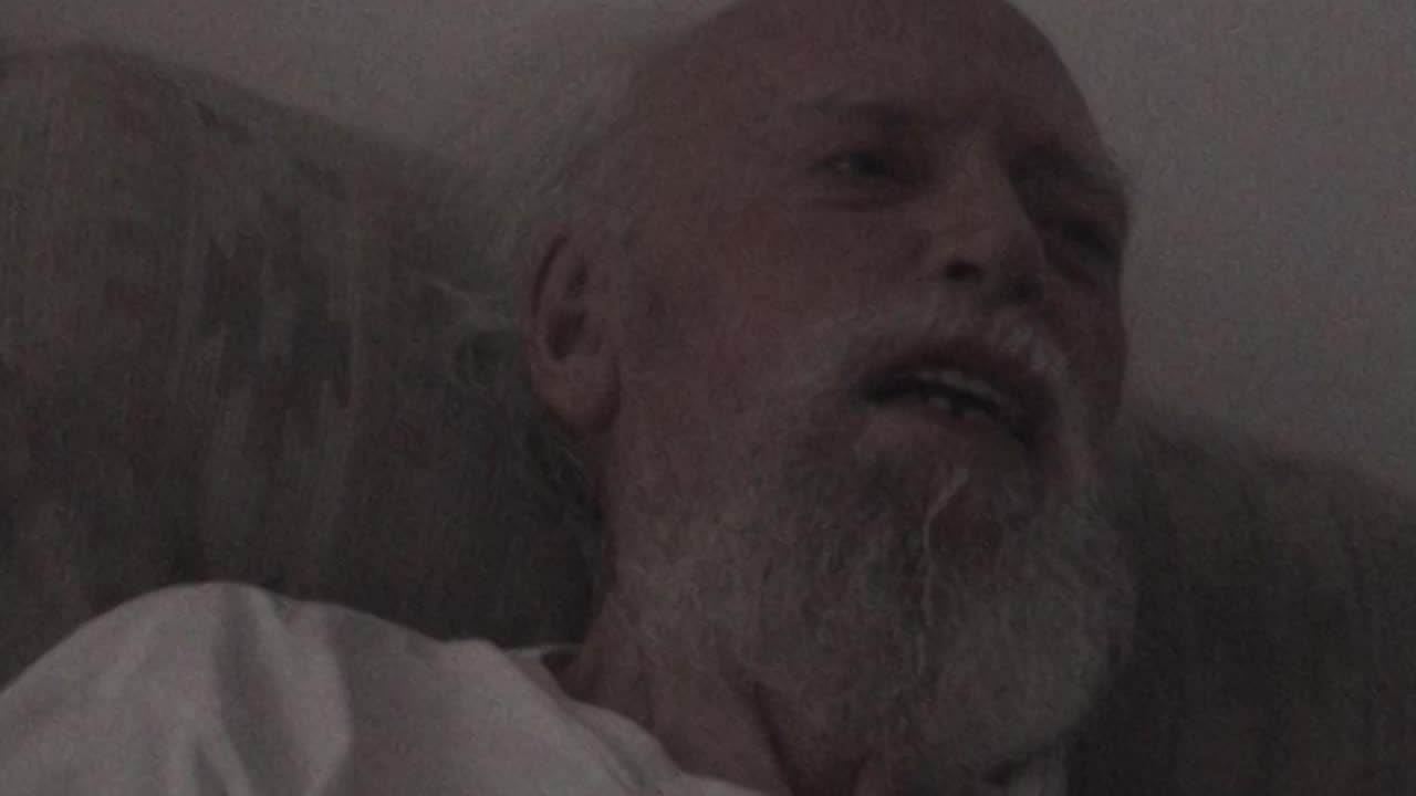 Things Are Not All Dark - Robert Anton Wilson (2004)