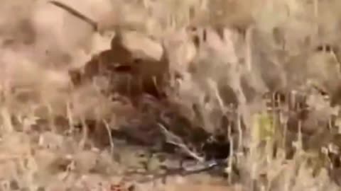 The luckiest of all survived at the last moment.
