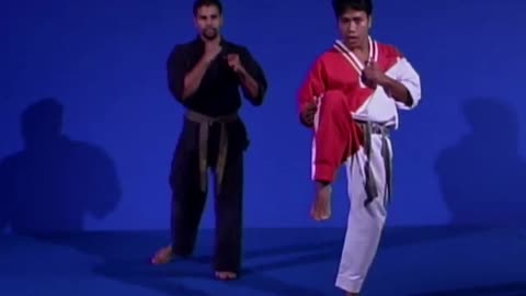 Front Snap Kick Taekwondo