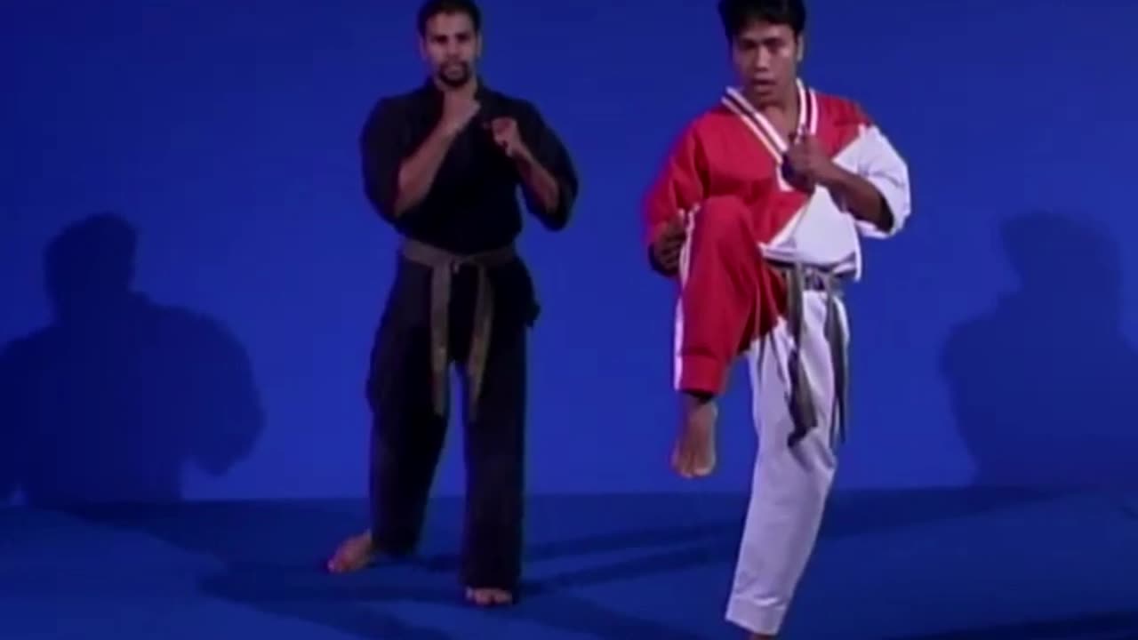 Front Snap Kick Taekwondo