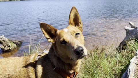 hanging out at the lake 3290823098423