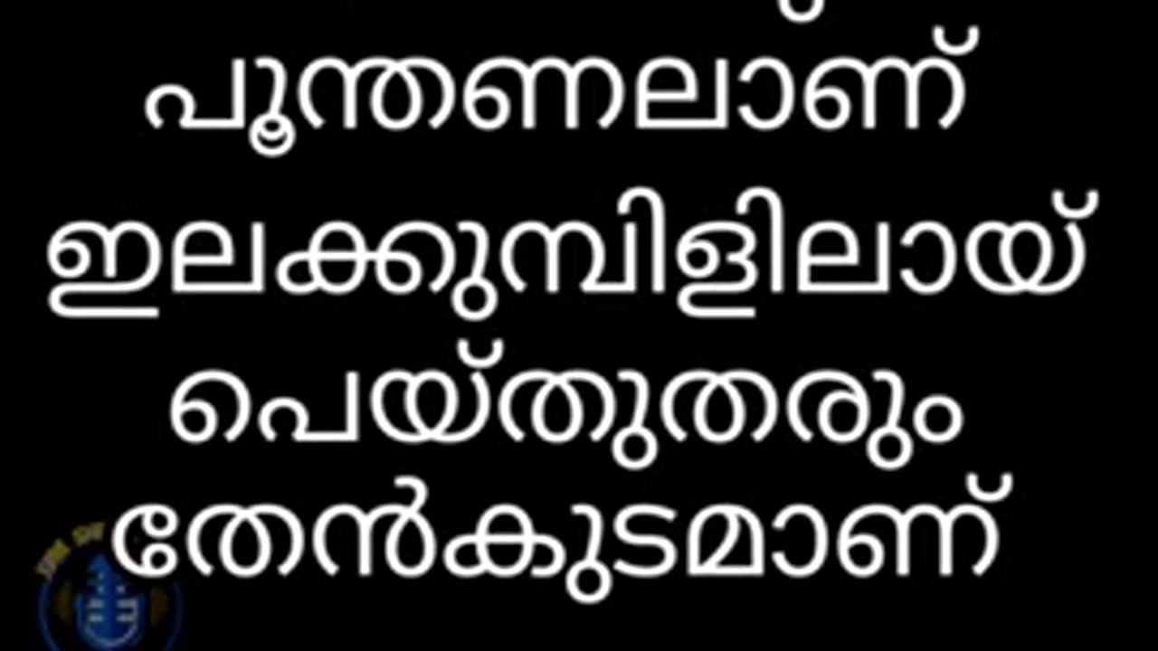കണ്മണിപ്പൂവേ കണ്ണാടിപ്പൂവേ karaoke with lyrics